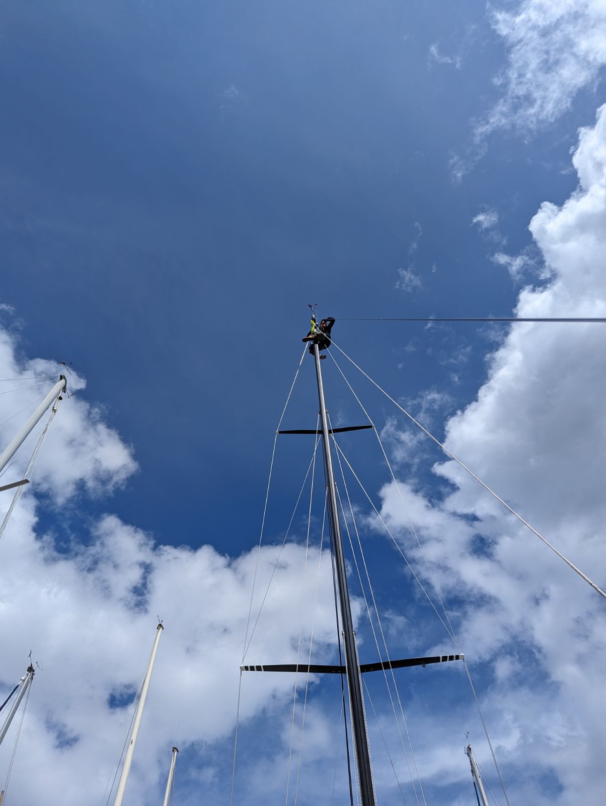 Up the mast!